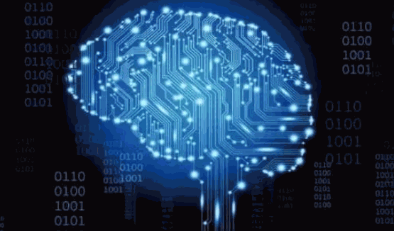 空中天使全脑教育